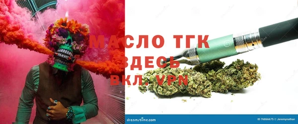 прущие грибы Ладушкин