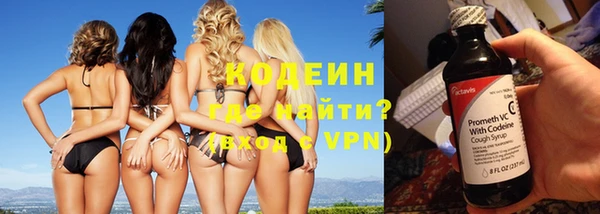 прущие грибы Ладушкин