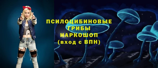 дживик Тайга