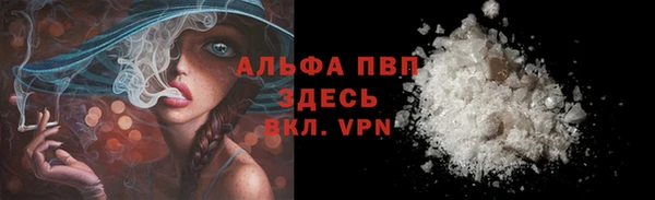 ECSTASY Лагань