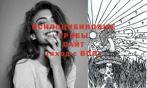 spice Медвежьегорск