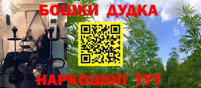 гидропоника Будённовск