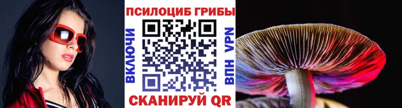 Галлюциногенные грибы Cubensis  Пермь 