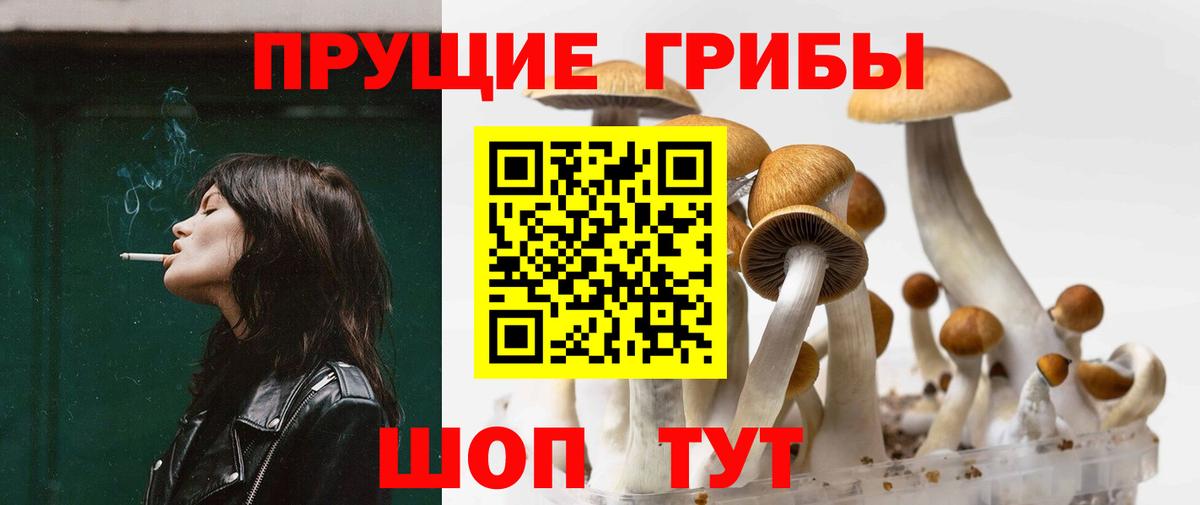 A PVP Пермь
