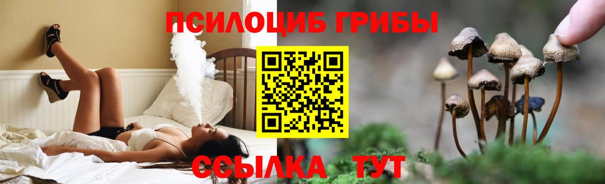 Псилоцибиновые грибы Psilocybe Пермь